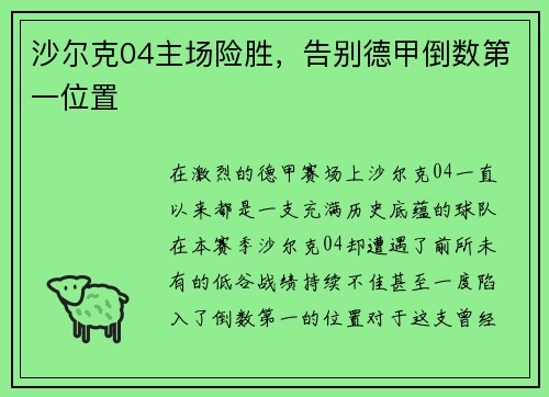 沙尔克04主场险胜，告别德甲倒数第一位置